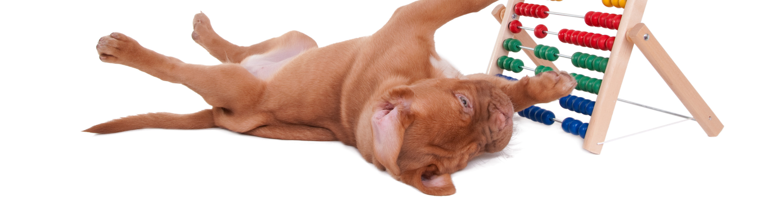 Is your staff underqualified or overwhelmed?